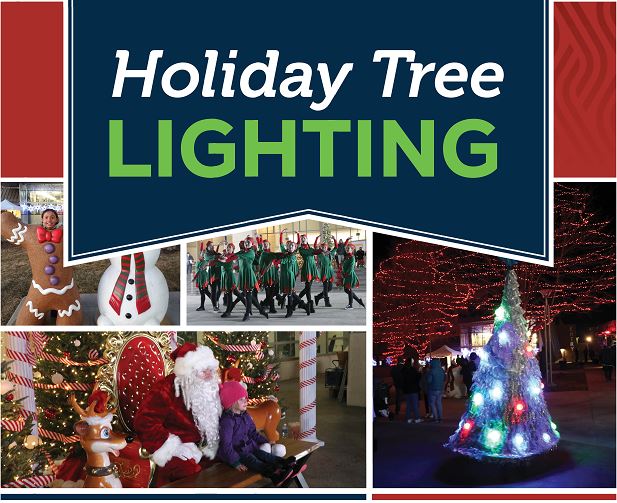 Join the city of Aurora for the annual Holiday Tree Lighting from 5 to 7 p.m. Tuesday, Dec. 5, at the Aurora Municipal Center 🎄

Experience the magic of live performances, meet special guests and enjoy hot chocolate and cookies. Learn more at AuroraGov.org/Events.