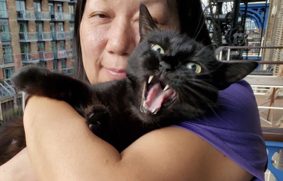 juanitafan's tweet photo. @davidsupercat Missy 🐈⬛ so loves a cuddle too 😹😹😹 just like Douglas #panfursquad #blackcats #TeamBooBoo https://t.co/g4r02kuIub