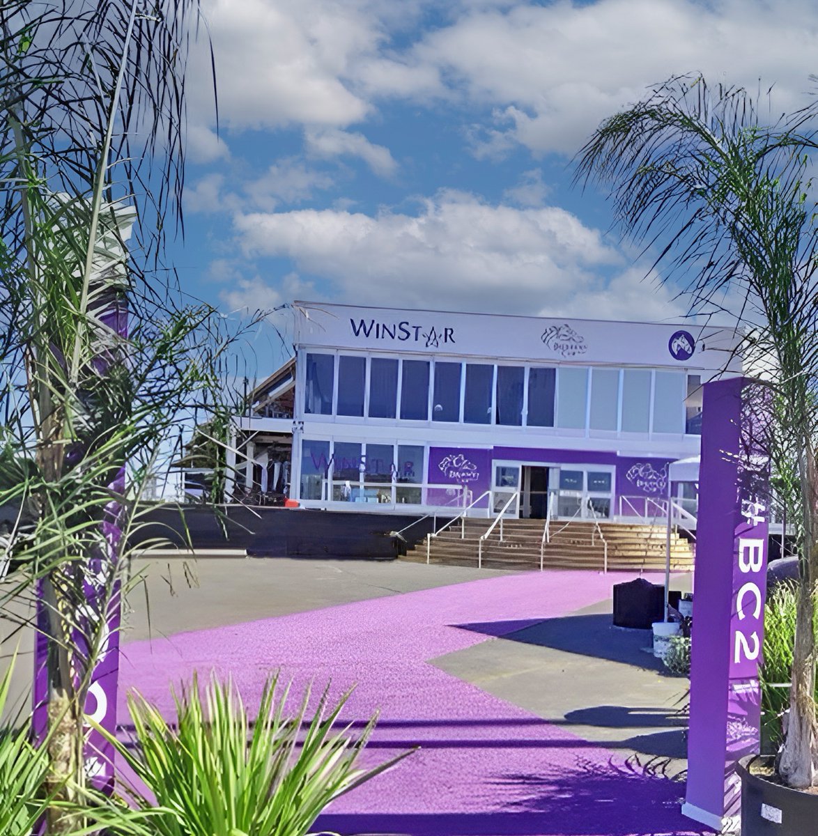 Pretty In Purple! 💜 Our high quality event carpet rolls and runners are perfect for creating event walkways.
#eventflooring #carpetrolls #purplecarpet #purplecarpetrolls #premiumcarpet #carpetrunner #purplecarpetrunner #floorcover #eventcarpet #eventprofs #breederscup