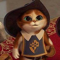 #NovaFotoDePerfil um gatinho igual eu 🤙🏻