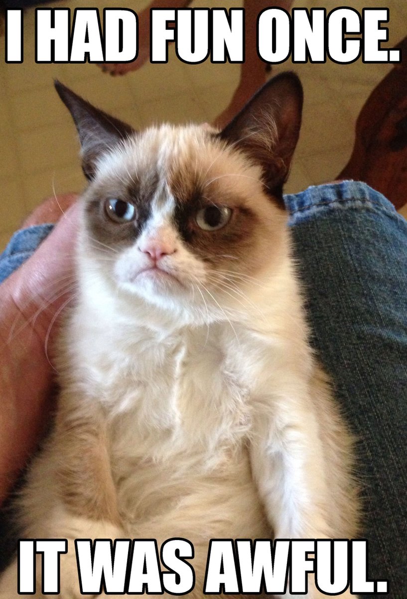 Just Launched: GrumpyCat.Meme - A continually updated new website for curated Grumpy Cat memes that will turn your frown upside down! 😾💻 Thanks to @Google Registry for including Grumpy Cat in their .meme launch! Truly awful!