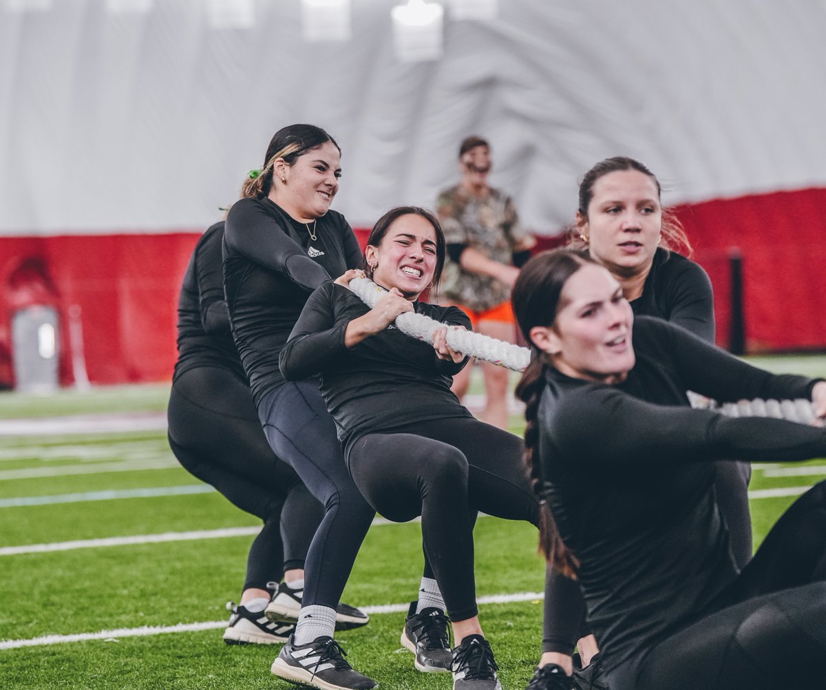 UMass Softball tweet media