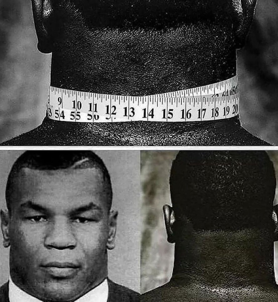 historyinmemes's tweet photo. The 20-inch humongous neck of 18-year old Mike Tyson. One of the more understated things Mike Tyson is known for is his more-than-average-sized neck. Tyson, as an 18-year-old, inserted a lot of emphasis on the importance of neck workouts. Amassing a length of 20 inches, 'Iron'… https://t.co/WfVGEuToiJ
