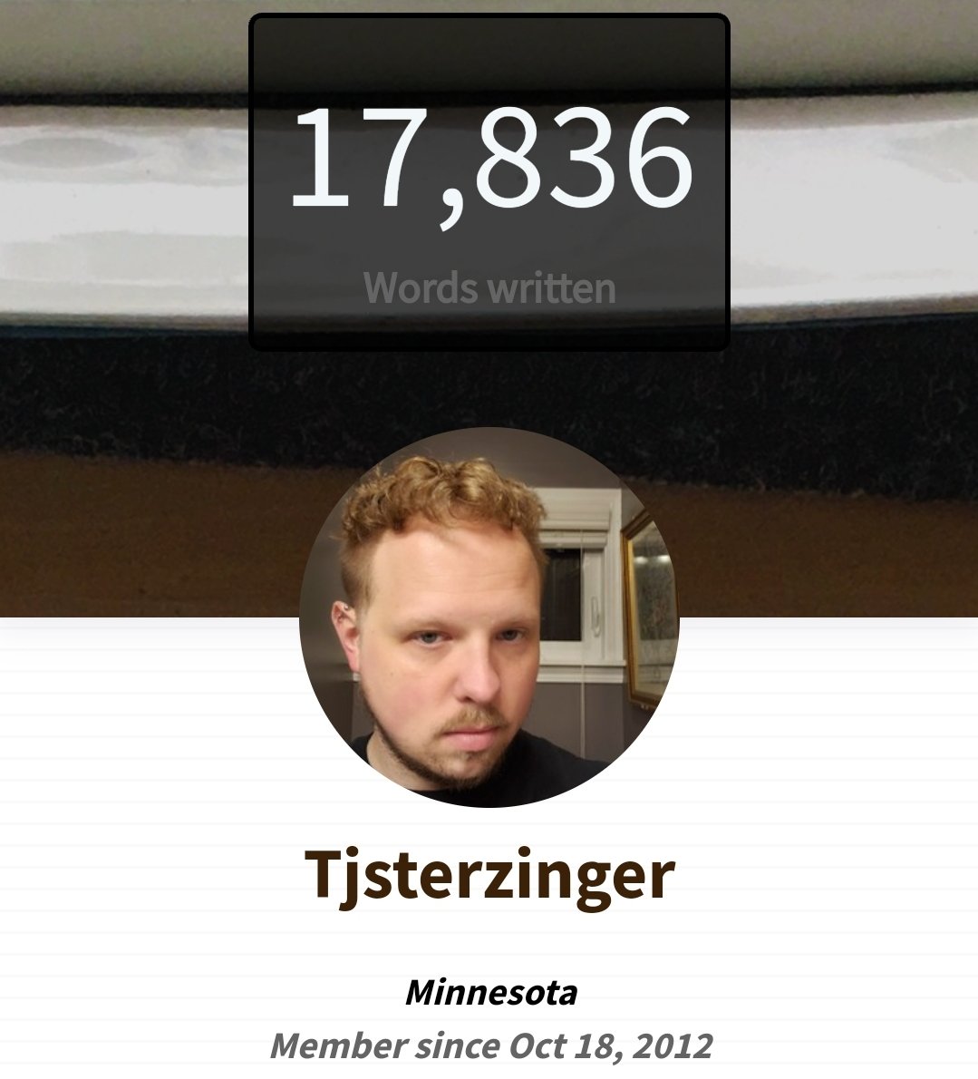 TJSterzinger's tweet photo. 17K words written for my novel! Not 50K, but its over a 1/3 of the way, so it's a pretty great start!  #NaNoWriMo https://t.co/rVs5bX0FLb
