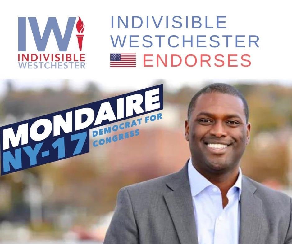 IW is pleased to endorse Mondaire Jones for Congress in CD17. It’s time to get busy!