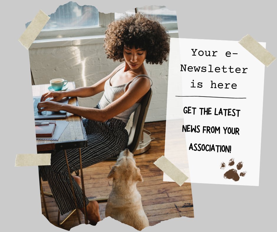 NCHIMACSA's tweet image. Read this week&apos;s NCHIMA e-Alert at bit.ly/3sYmGZ6.
#NCHIMA #KnowledgeConnex