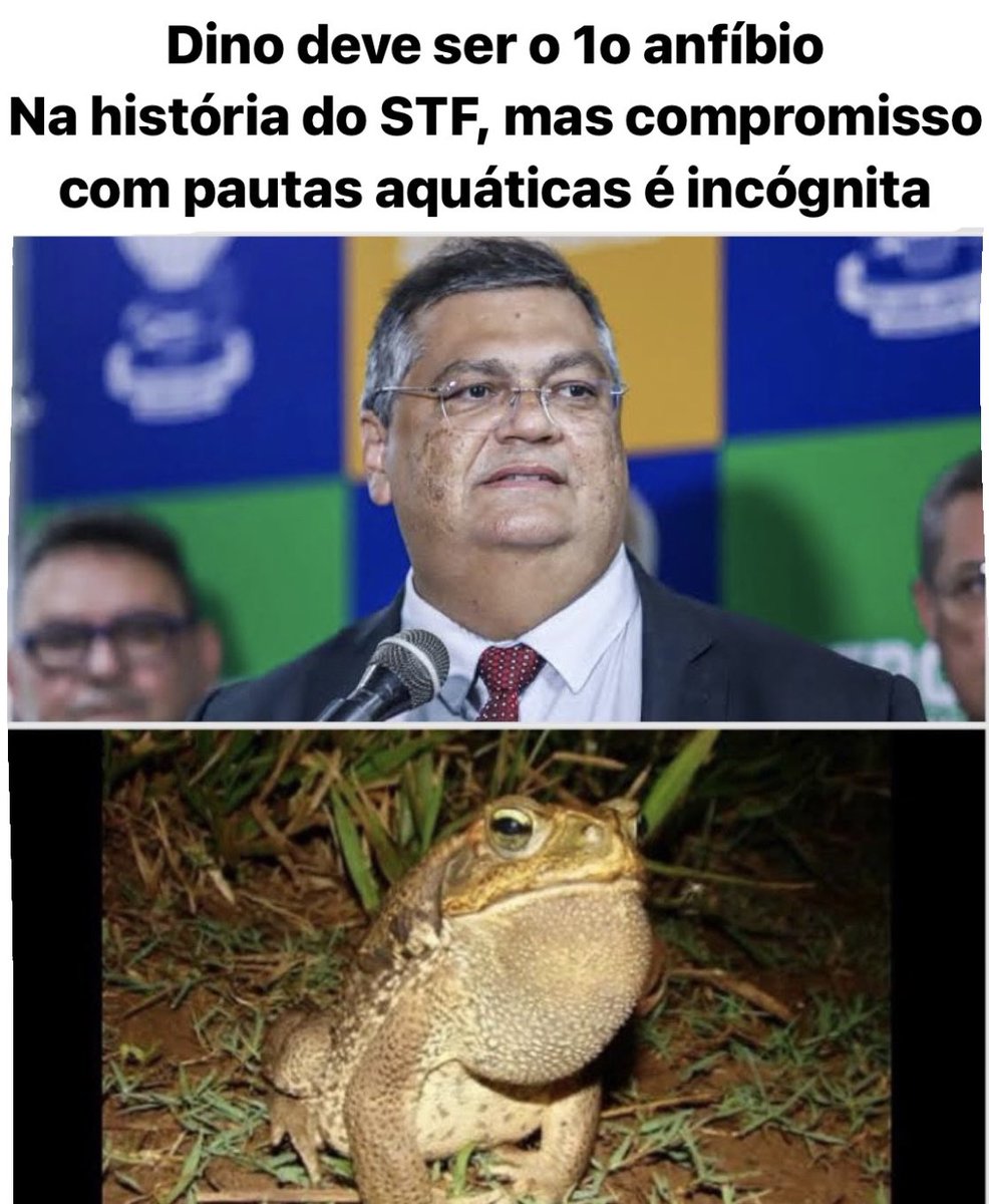 Essa manchete é mais real que a da FOLHA