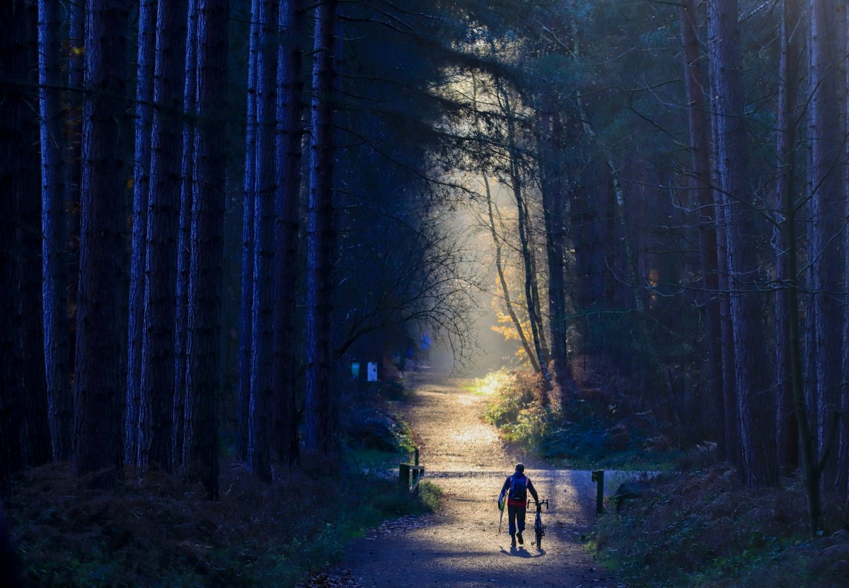 parkrun UK tweet media