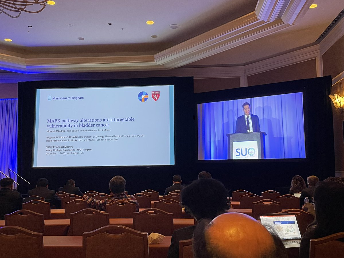 Adam Feldman tweet media