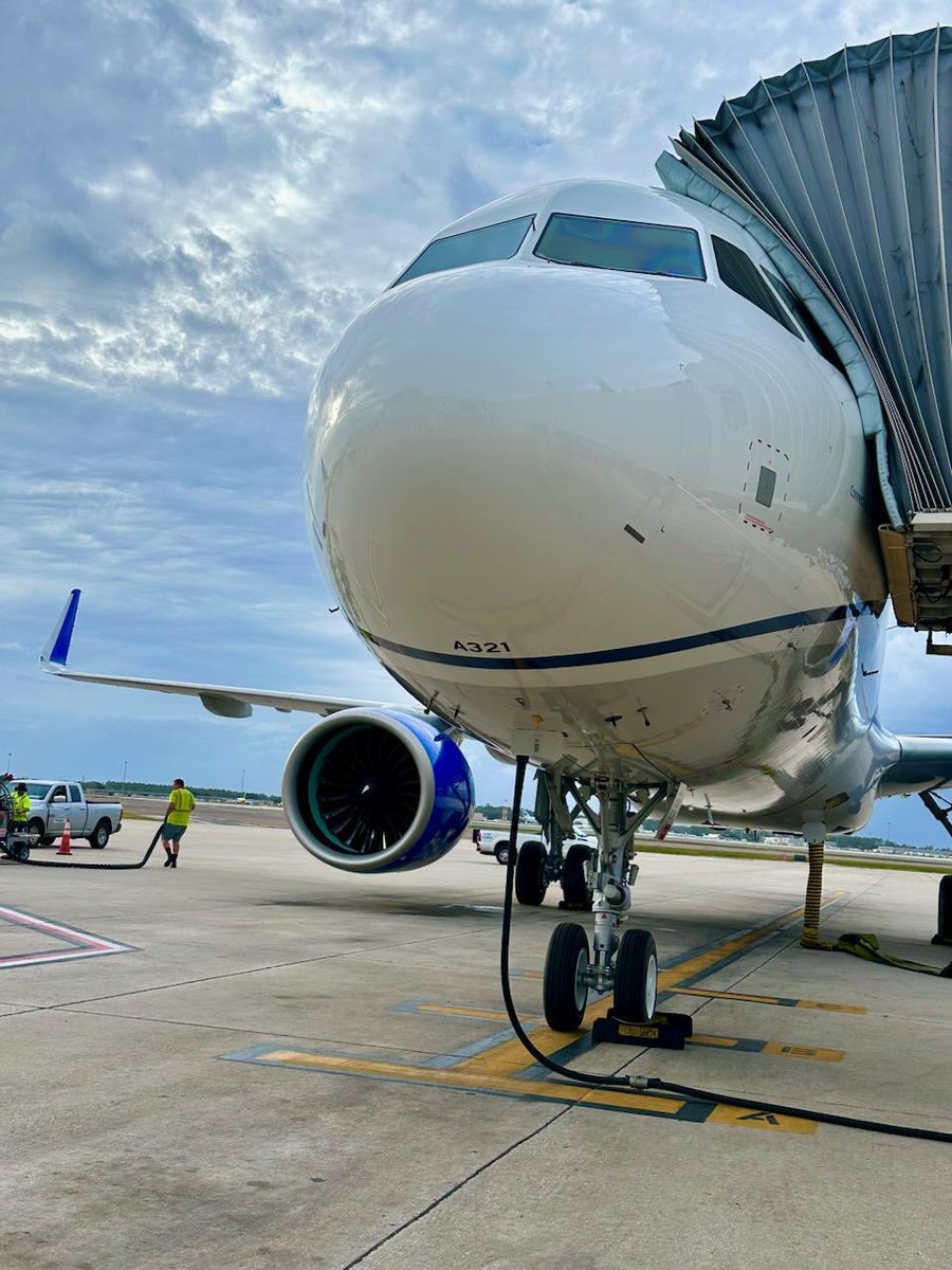 AO_Execution tweet media