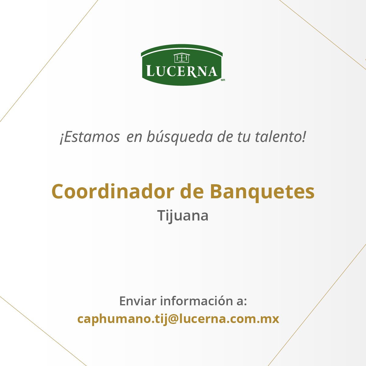 HotelesLucerna's tweet photo. Únete a la familia Lucerna ✨
Estamos buscando Coordinador de Banquetes, conocimiento de ventas y excelente servicio al cliente, por favor envía tu CV a caphumano.tij@lucerna.com.mx https://t.co/lWSI8HyDbN
