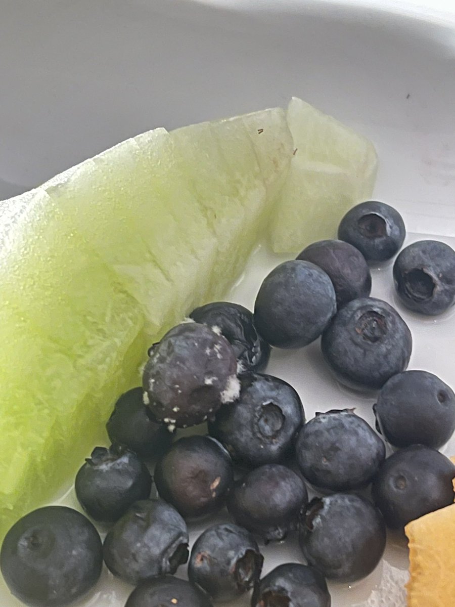 melsmith1130's tweet photo. Interesting breakfast of moldy blueberries and expired yogurt on this morning’s @AmericanAir flight from Nashville to LA. #hungry #shouldhavechosentheomelette https://t.co/MS7Lhj0l38