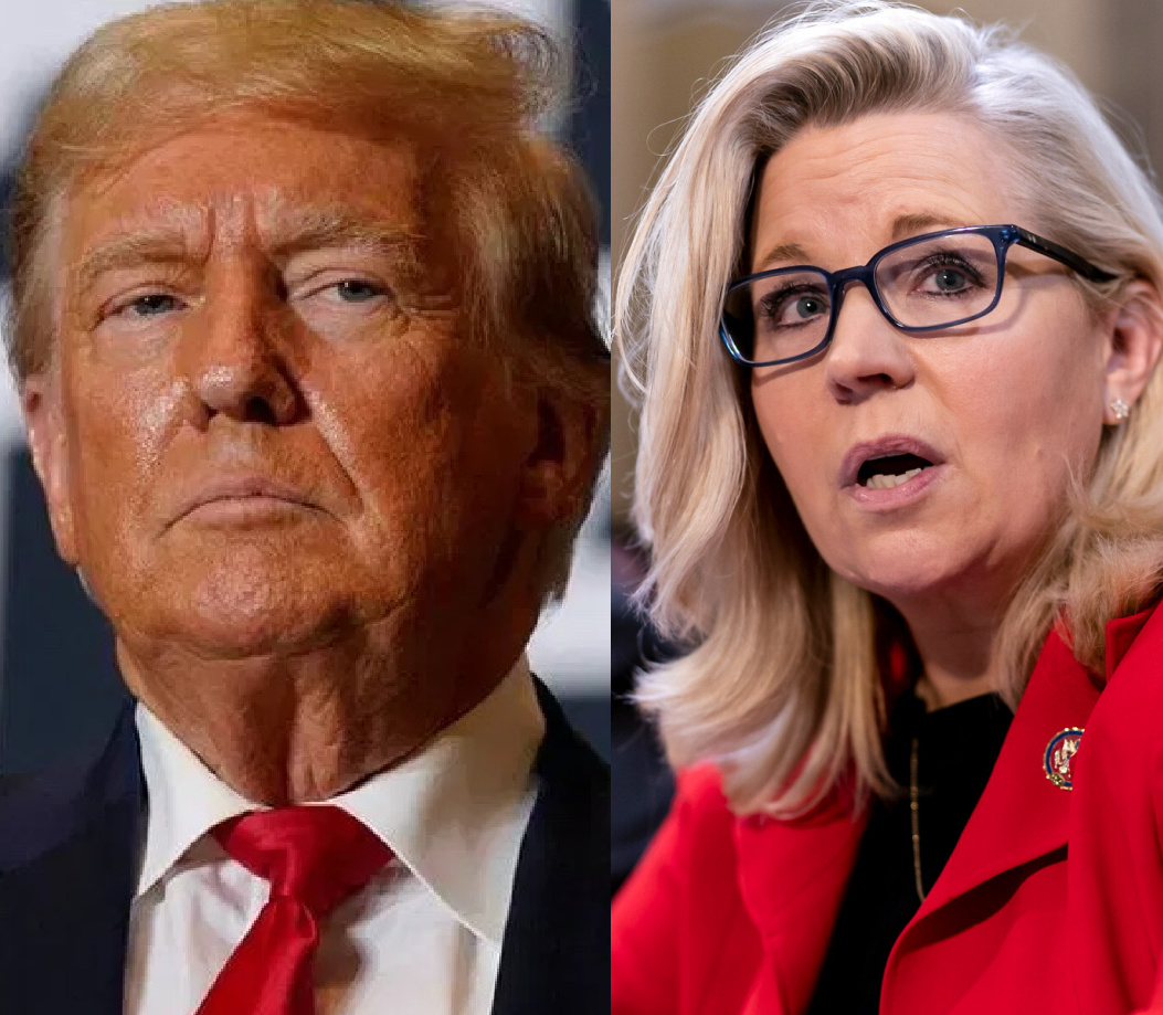 BREAKING: Republican Liz Cheney sounds the alarm against her own party and warns that America is 'sleepwalking into dictatorship' because reelecting Donald Trump will bring about the end of American democracy. This should send a shiver down your spine... During a conversation…