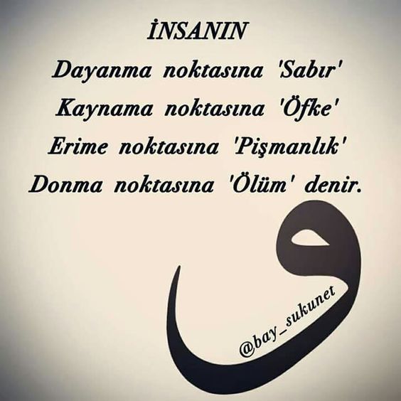 Hatice Mum (@mum_hatice) on Twitter photo 