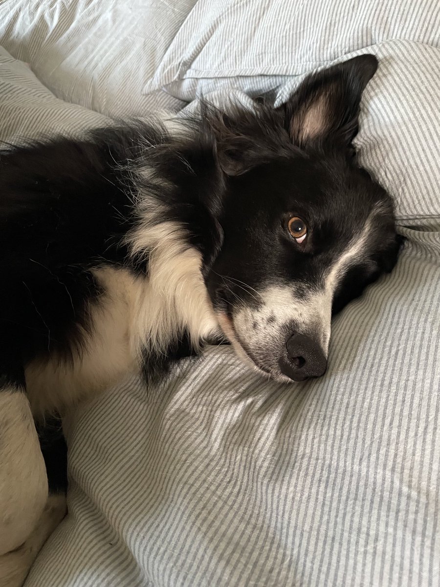 Jenni Steele tweet media