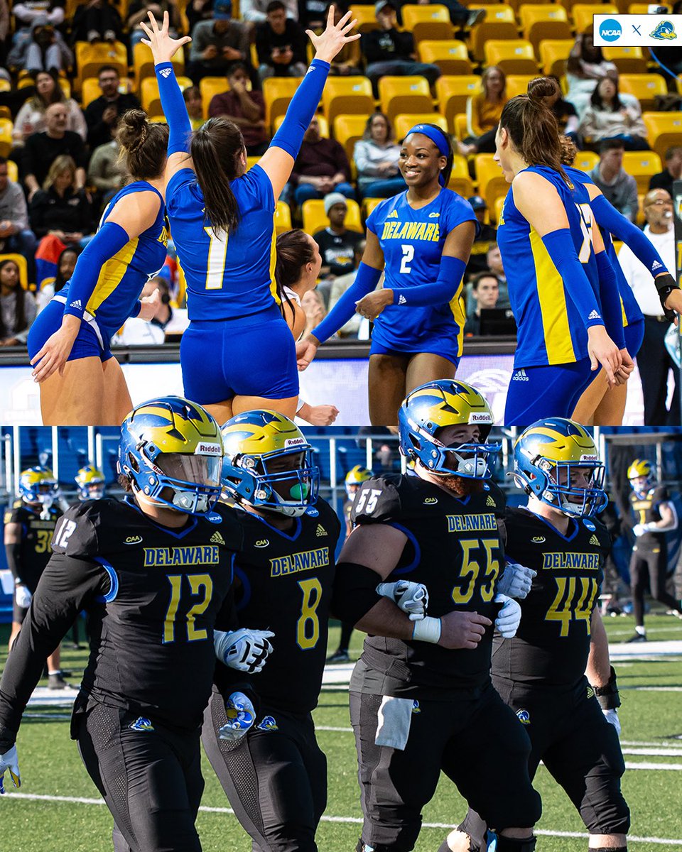 Good luck to both @delaware_vb and @delaware_fb in their NCAA Tournament games this weekend🫶