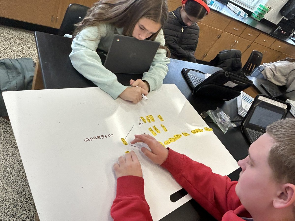 senorajenmorris's tweet photo. I enjoyed seeing @LandstownEagles in Ms. Marcia-Garner’s Biology class figure out who is the ancestor in the speciation lesson. #inquirybased #collaboration #EagleExcellence https://t.co/ycGJQGxuol