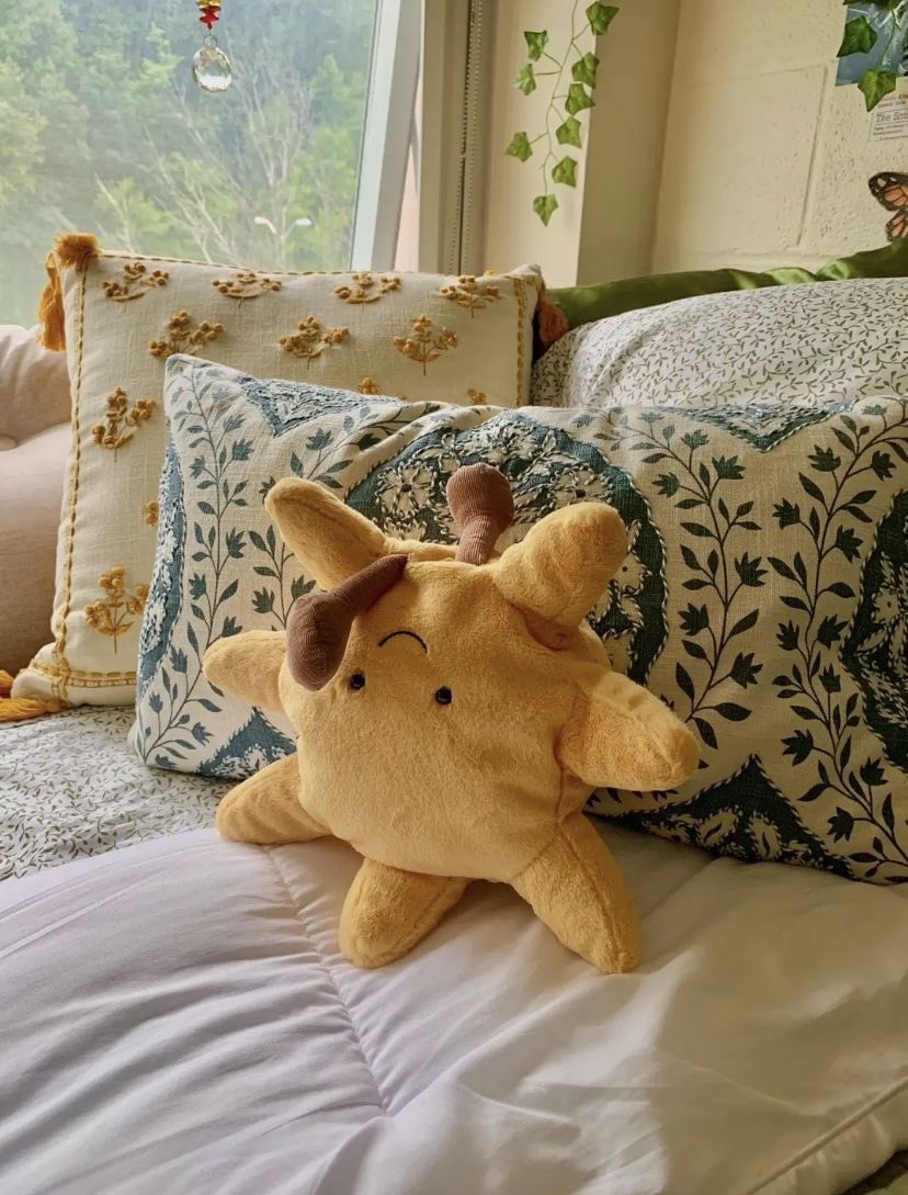 this sun plushie 🌞