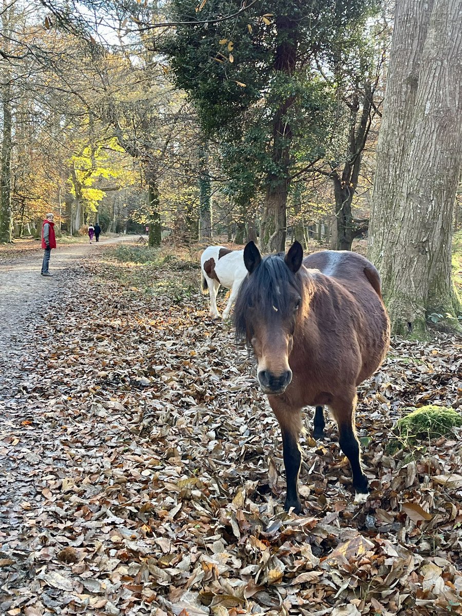 Nicky Jones tweet media