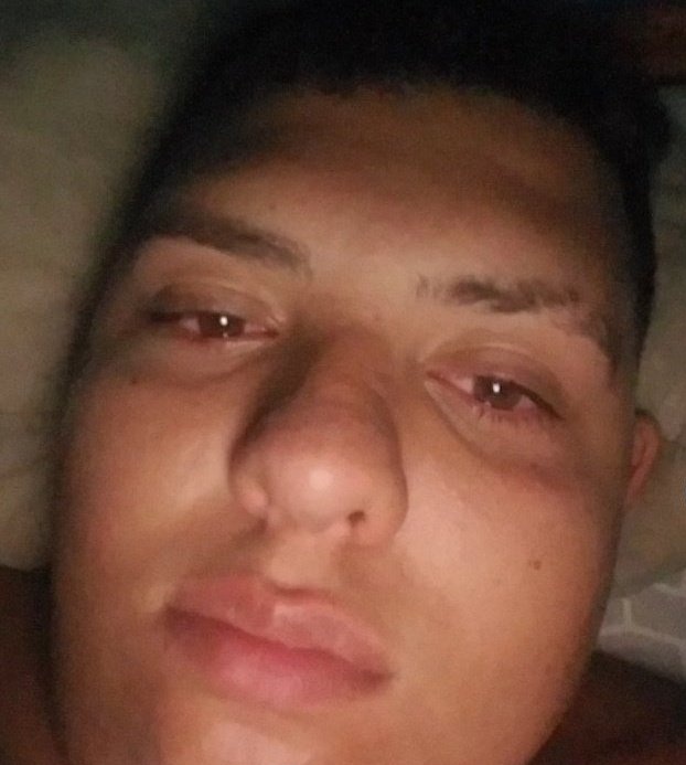 miguelo viendo que lo quemaron en el grupo de whatsapp