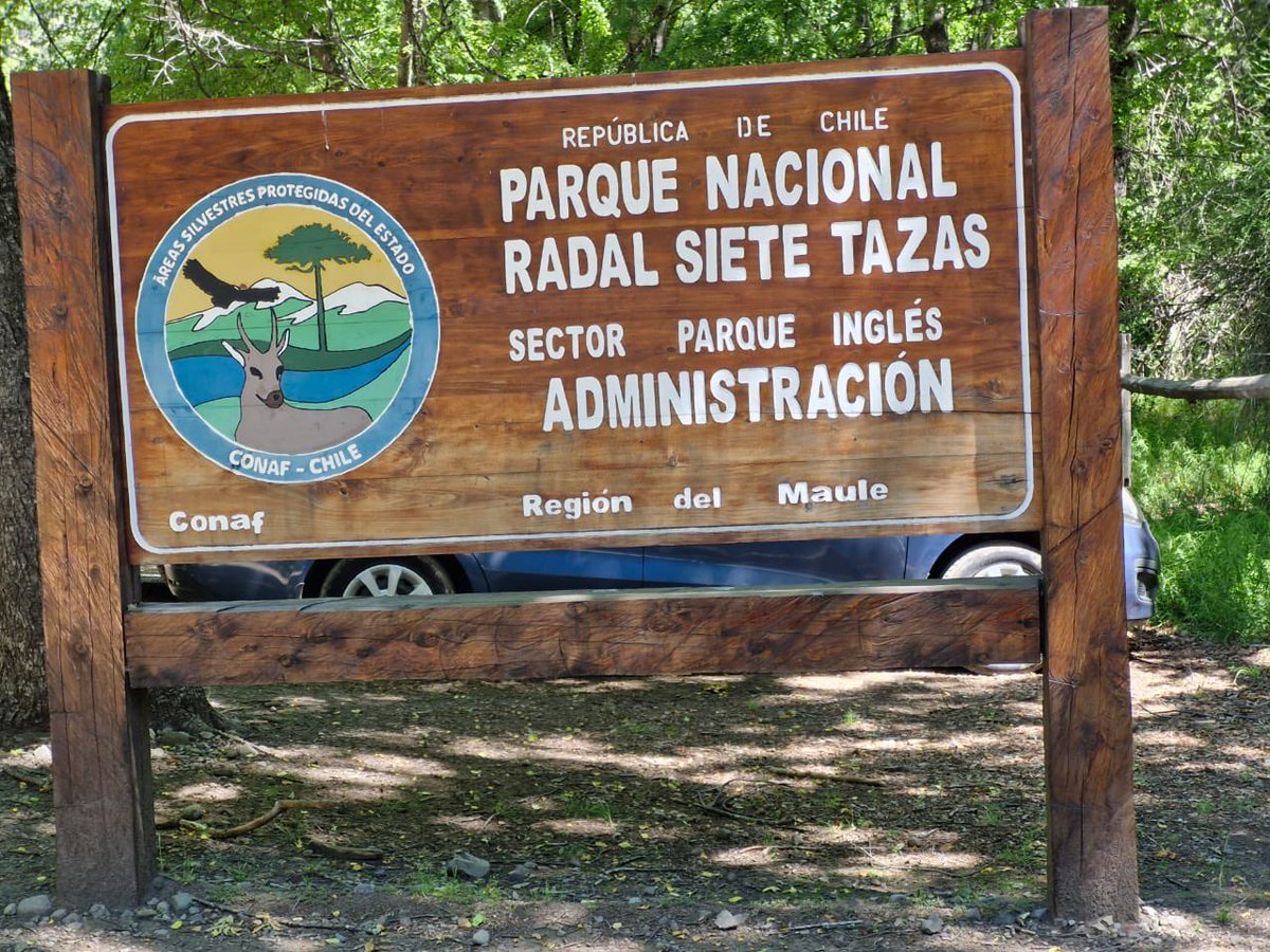 conaf_maule's tweet photo. ✅¡Buenas noticias! A contar de este 01 de diciembre se reabre el sendero “El Bolsón” en el Parque Nacional Radal Siete Tazas que estaba cerrado para mejorar su conectividad.

Adquiere tu entrada a través de la plataforma https://t.co/oxbMKpCgam
#PlanificaTuViaje https://t.co/Y714Ii3zSE