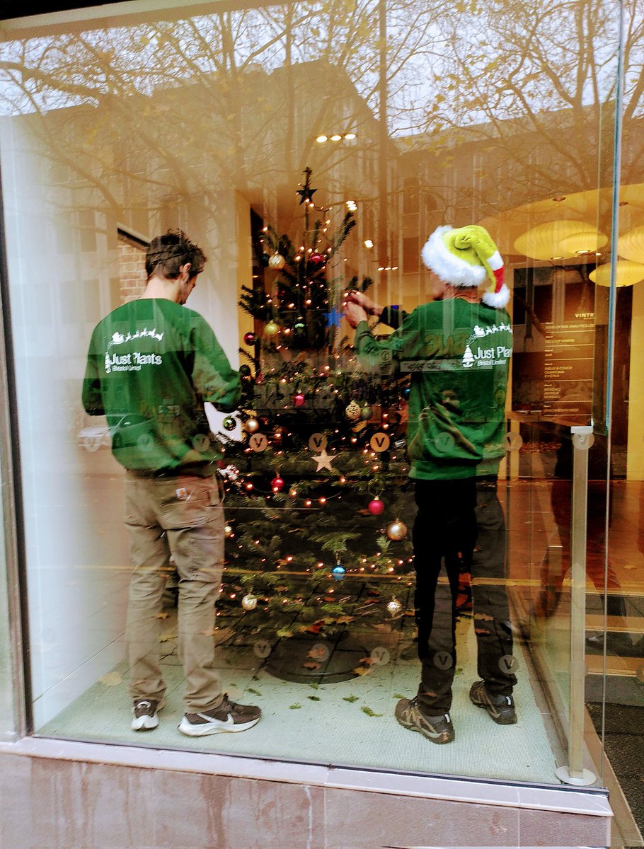 JustPlants's tweet photo. A busy and enjoyable few days (and a few more to come) with festive installations 🌲🌲🌲🌲🌲

The JP Christmas Team are sporting new jumpers with a festive twist..!

#christmastree #christmasdecor #christmasjumpers https://t.co/fCICulZklV