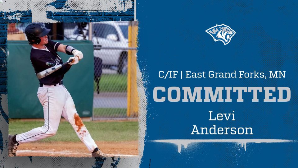 Levi Anderson tweet media