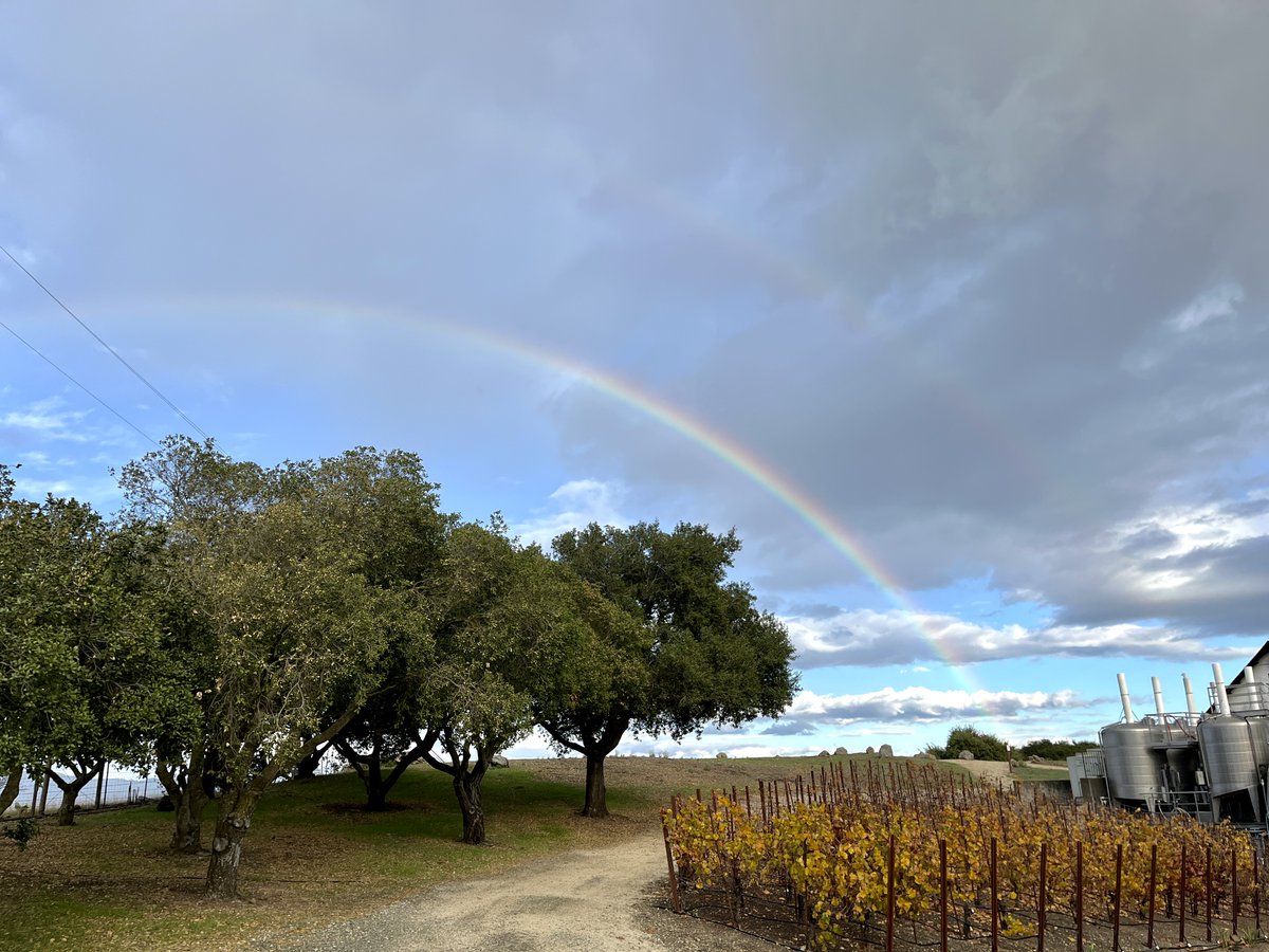 Schug Winery tweet media