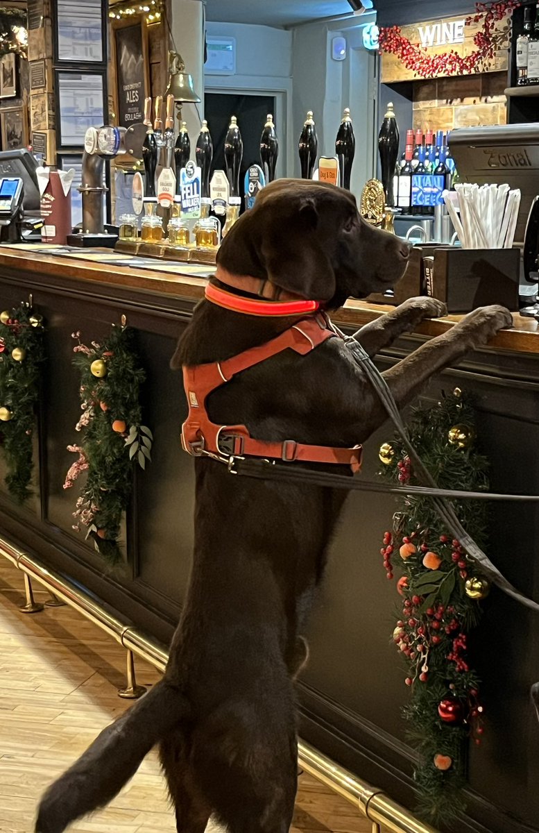 Called into the Dog and Gun in Keswick after refurbishment….see this customer meets the profile 😉 @KeswickTourism @paul_steele @keswickbootco @RathboneKeswick @CumbrianRambler @Hazel_Bank @pHillpoet @AireyAndy @onLoughrigg @Marilyn_Res @onLoughrigg @CarbonCycleKate