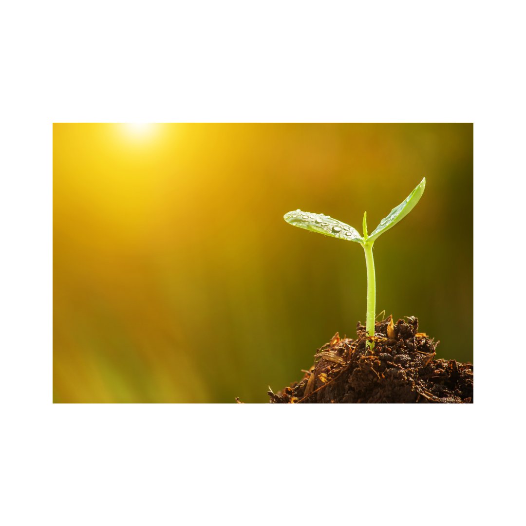"Every adversity brings with it the seed of an equivalent advantage.” - Napoleon Hill