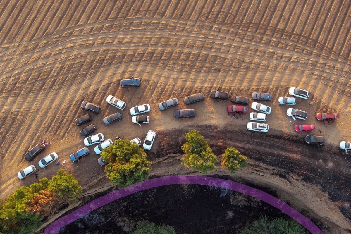 worms cited tweet media