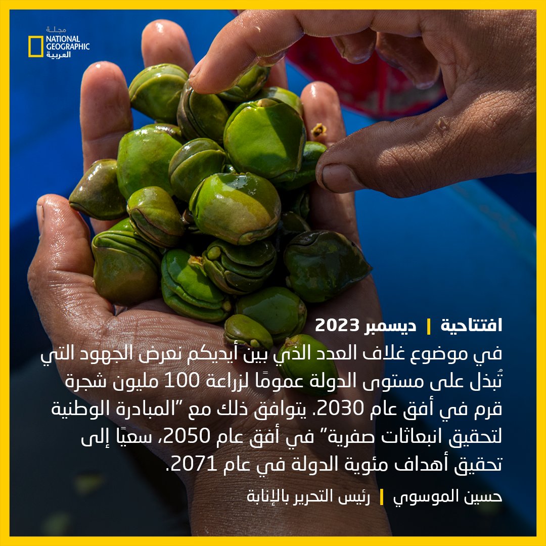 مجلة ناشيونال جيوغرافيك العربية (@natgeomagarab) on Twitter photo حسين الموسوي يكتب في عدد #ديسمبر 2023: في موضوع غلاف العدد الذي بين أيديكم نعرض الجهود التي تُبذل على مستوى الدولة لزراعة 100 مليون شجرة قرم في أفق عام 2030. يتوافق ذلك مع "المبادرة الوطنية لتحقيق انبعاثات صفرية" في أفق عام 2050
<a href="/HuAlmoosawi/">Hussain AlMoosawi حسين الموسوي</a>
للتفاصيل | ngarabia.com/IeiW حسين الموسوي يكتب في عدد #ديسمبر 2023: في موضوع غلاف العدد الذي بين أيديكم نعرض الجهود التي تُبذل على مستوى الدولة لزراعة 100 مليون شجرة قرم في أفق عام 2030. يتوافق ذلك مع "المبادرة الوطنية لتحقيق انبعاثات صفرية" في أفق عام 2050
<a href="/HuAlmoosawi/">Hussain AlMoosawi حسين الموسوي</a>
للتفاصيل | ngarabia.com/IeiW