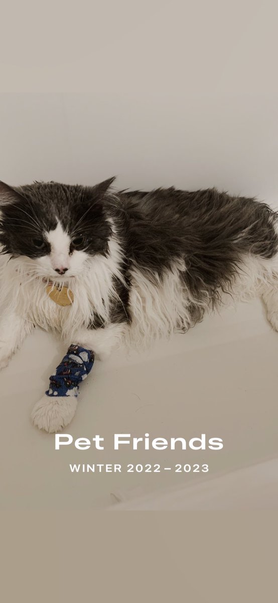 ElizaaMarieee's tweet photo. Thank u to my phone for making me a fun and fresh little slideshow of vet pictures of Clark when she almost died last year 😜🥰 count your days apple and I’m sooooo fr 😭 https://t.co/E2aQ8aN4xH