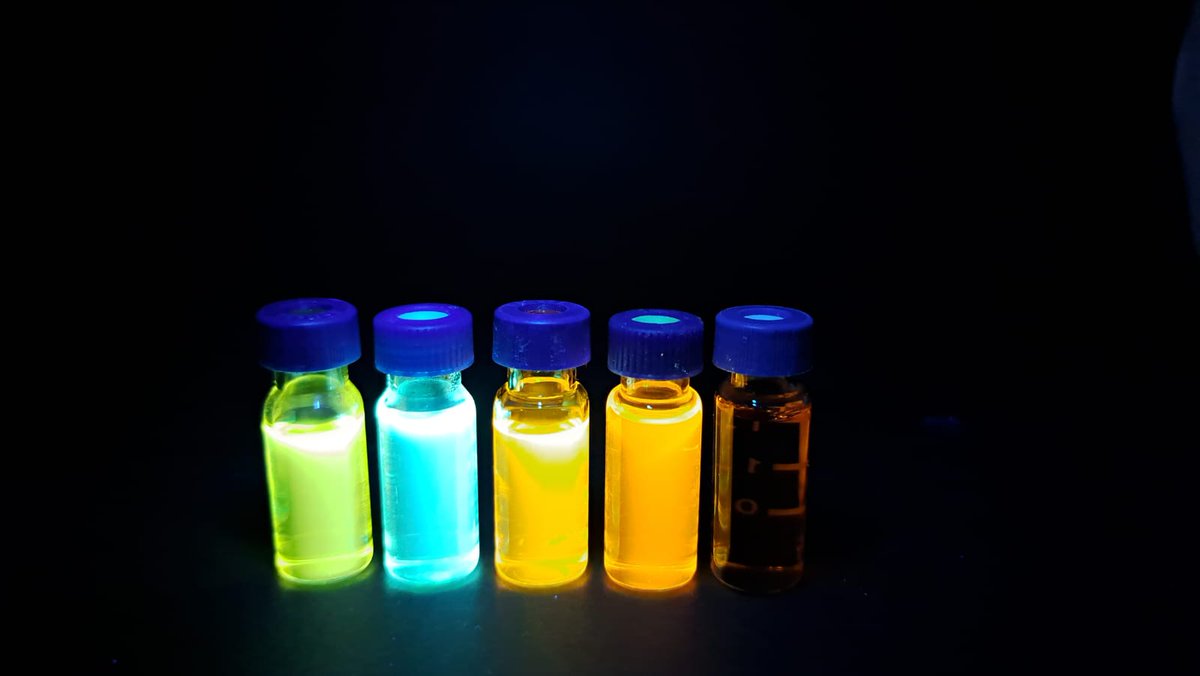 Camila Ebersol tweet media