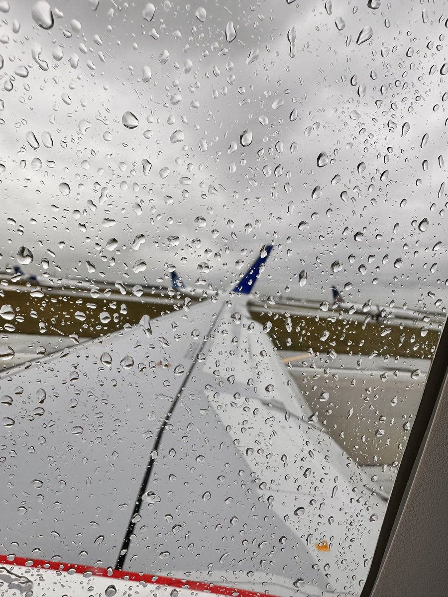 kurtifly's tweet photo. A beautiful new airplane wing. Brand new airplane, absolutely beautiful…. #beingUnited #united #a321neo https://t.co/CqM4cOtS1I