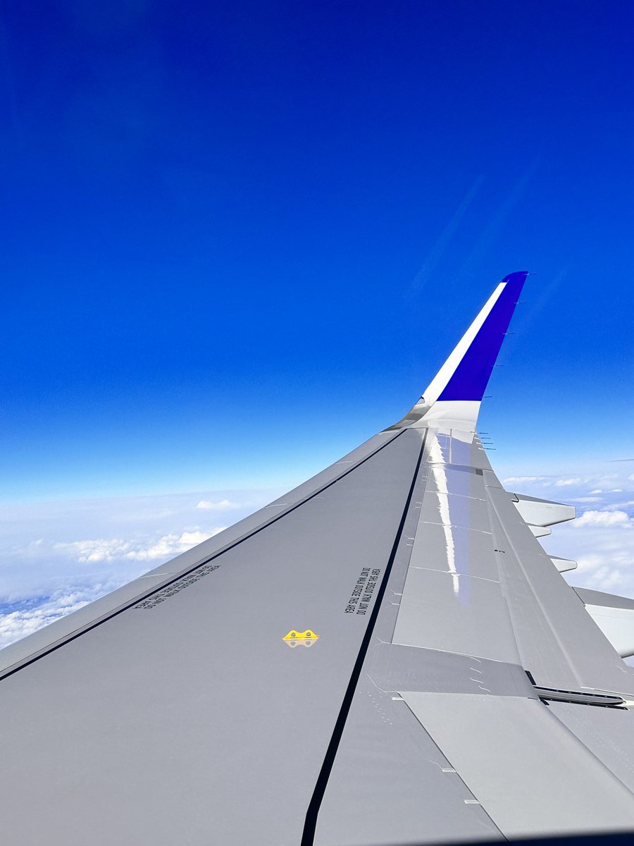 kurtifly's tweet photo. A beautiful new airplane wing. Brand new airplane, absolutely beautiful…. #beingUnited #united #a321neo https://t.co/CqM4cOtS1I
