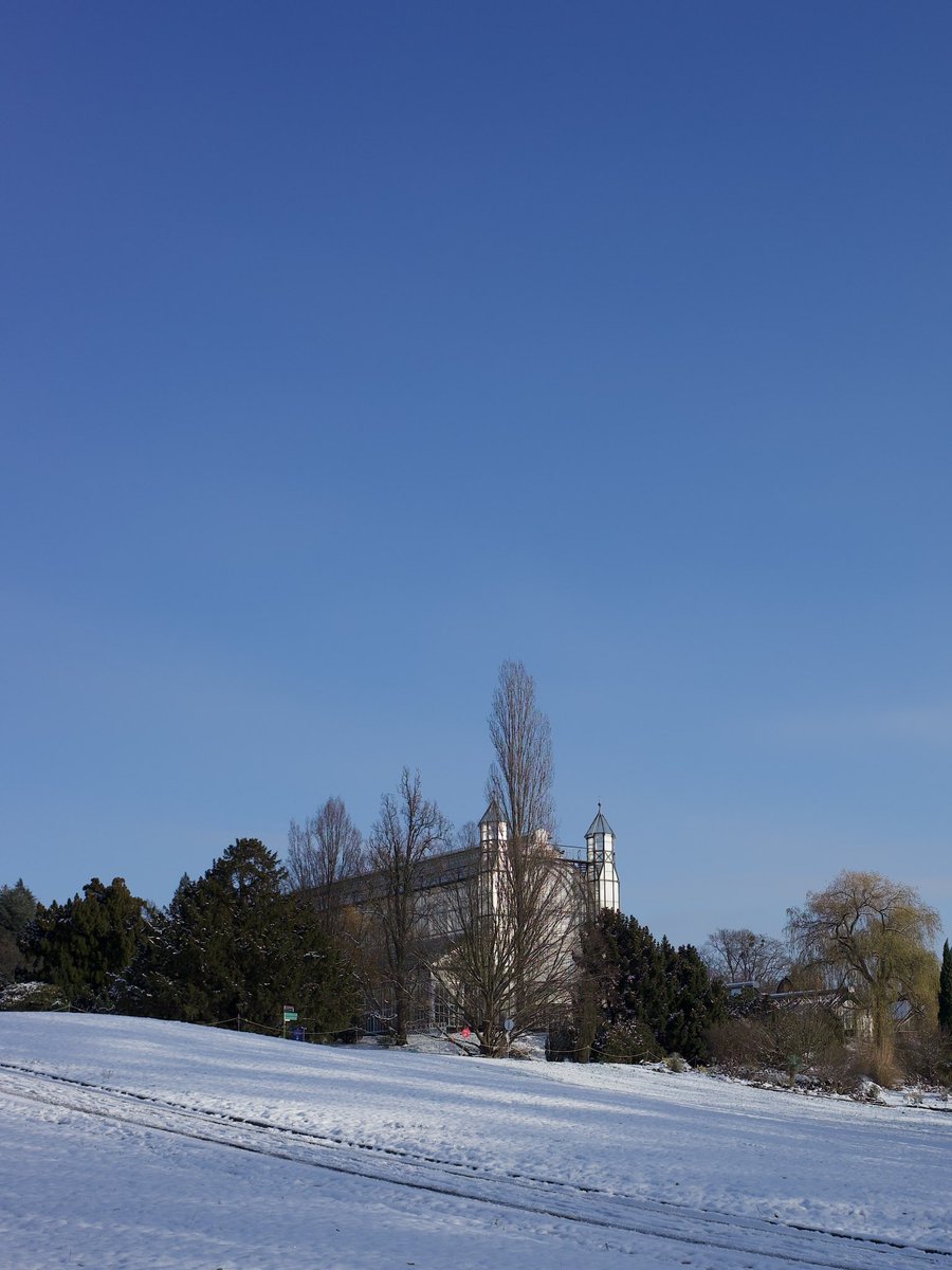 Catharina Neumann tweet media