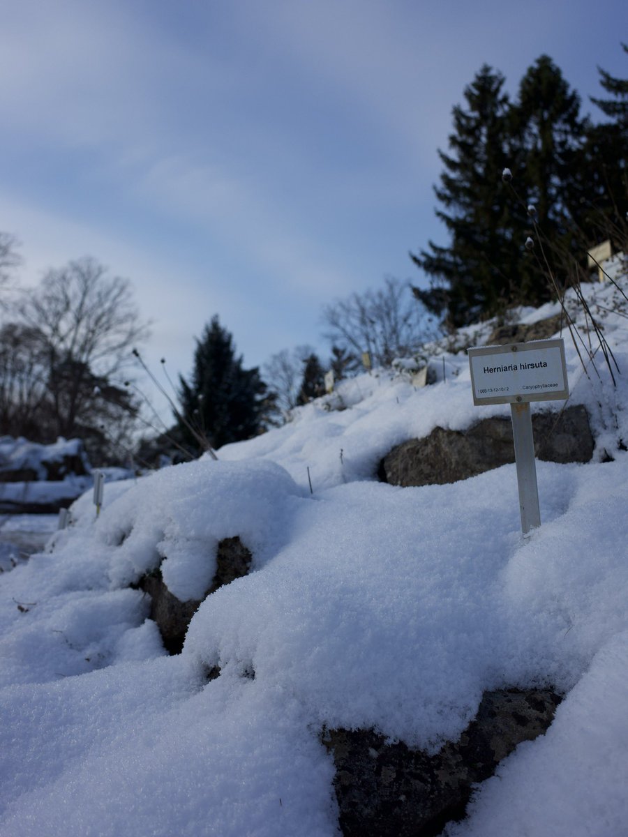 Catharina Neumann tweet media