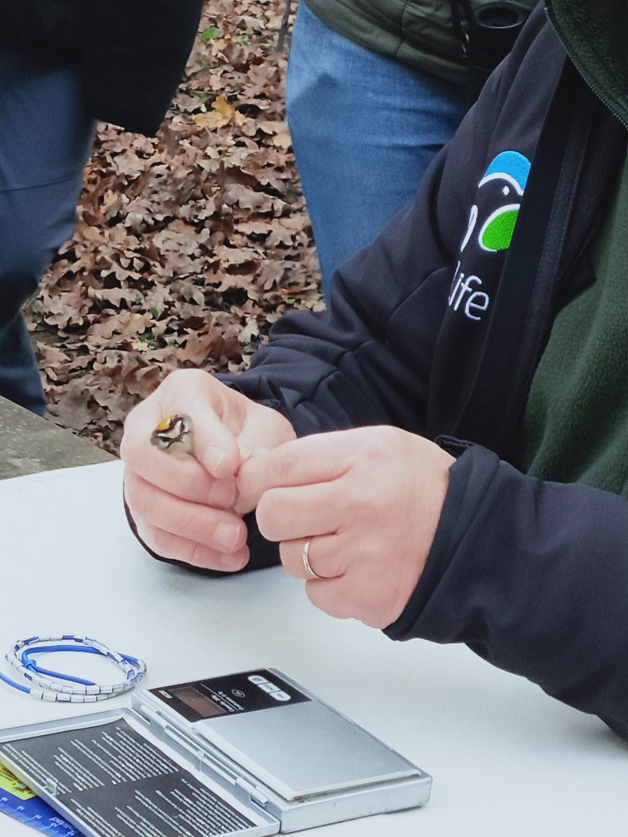 seo_castro's tweet photo. Fin de semana fantástico durante la celebración del curso de iniciación a la observación y el estudio de las aves en Liendo. 
¡Gracias a todas por vuestra participación, y al Ayuntamiento de Liendo por hacerlo posible!
https://t.co/A3VZ7qCxNN
@PIECantOriental @CantabriaEuropa https://t.co/U16ljfE71f