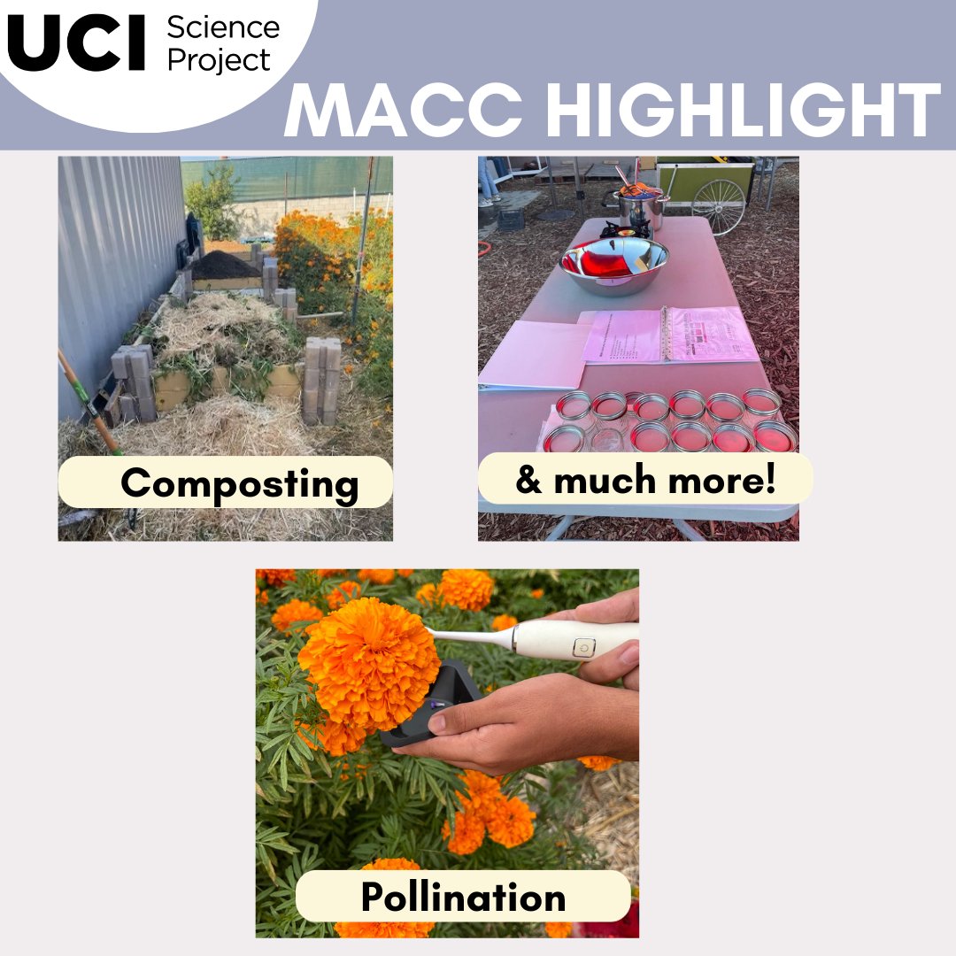 UCI Science Project (@irvine_sp) on Twitter photo Did you know that we have collaborated with
<a href="/AnaheimUHSD/">Anaheim Union High School District</a> to help support their regenerative agricultural center?
Meet the Magnolia Agriscience Community Center! Our amazing UCI interns lead hands-on lessons in pollination and so much more! Learn more here scienceproject.cfep.uci.edu/macc/ Did you know that we have collaborated with
<a href="/AnaheimUHSD/">Anaheim Union High School District</a> to help support their regenerative agricultural center?
Meet the Magnolia Agriscience Community Center! Our amazing UCI interns lead hands-on lessons in pollination and so much more! Learn more here scienceproject.cfep.uci.edu/macc/