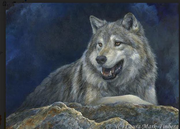 TerryEnviro's tweet photo. My sister-in-law is an award-winning wildlife artist. I wanted to share this.

https://t.co/1ISNwgZ9xM

home page: https://t.co/AKCR3wOykX
reproductions page: https://t.co/5LOLVhCYbU https://t.co/99WWInYlNc