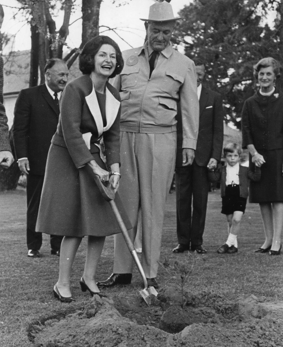 For today's #ArchivesHashtagParty, here's an #ArchivesGiftExchange to the @LBJLibrary - President Lyndon Johnson and Lady Bird Johnson planting two dogwood trees in the front lawn at Lanyon Homestead, south of Canberra, Australia, October 22, 1966