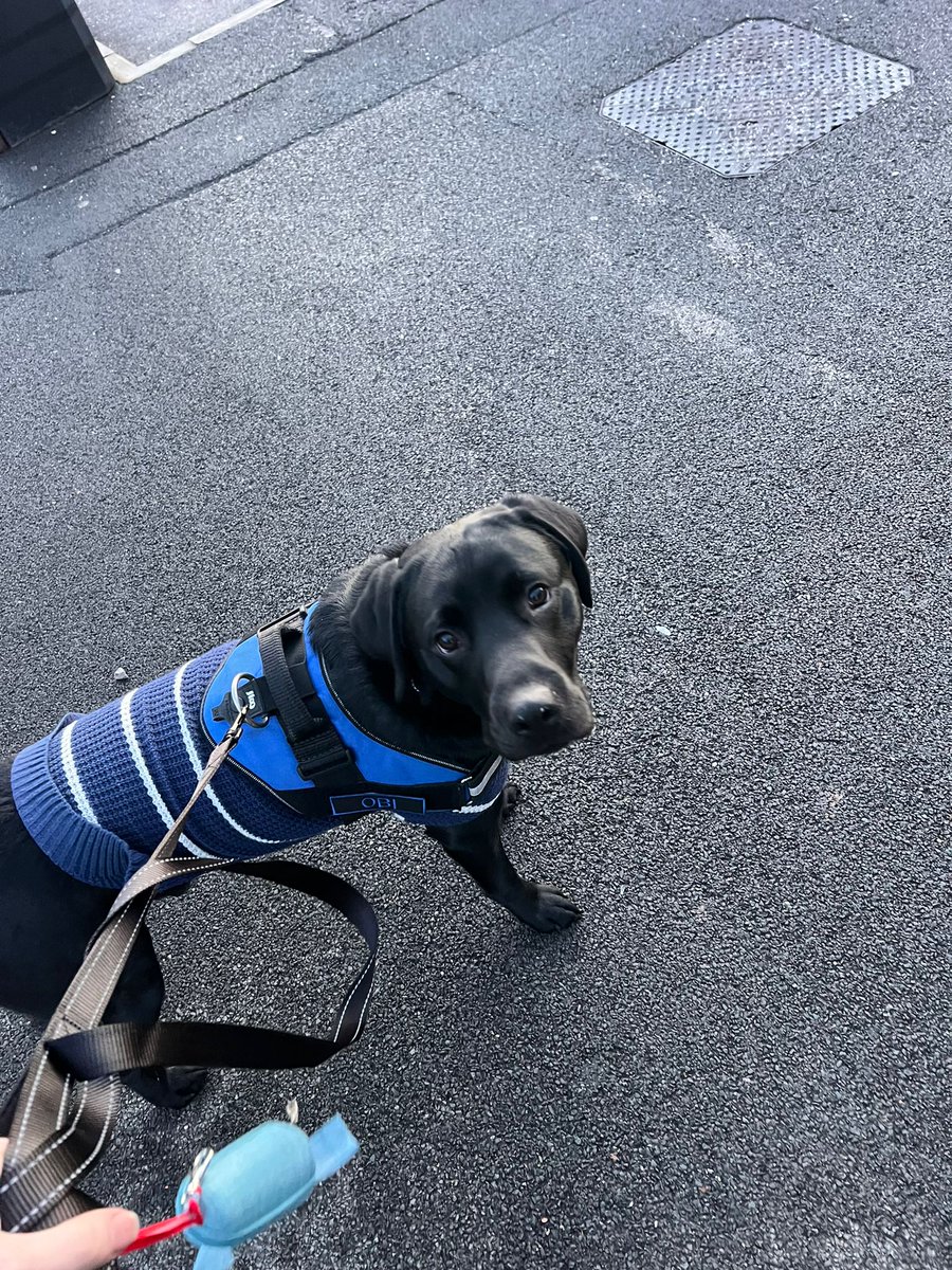 Obi Wong & Mrs Wong tweet media