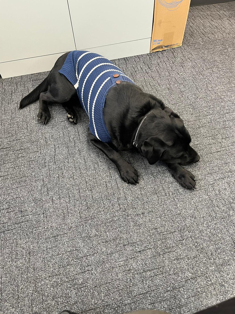 Obi Wong & Mrs Wong (@ob1wong) on Twitter photo I have had a wonderful first day settling in <a href="/Discovery_Hyde/">Discovery Academy</a>. The staff and children have been so welcoming and #caring to me. I 💙 it here! I have had a wonderful first day settling in <a href="/Discovery_Hyde/">Discovery Academy</a>. The staff and children have been so welcoming and #caring to me. I 💙 it here!