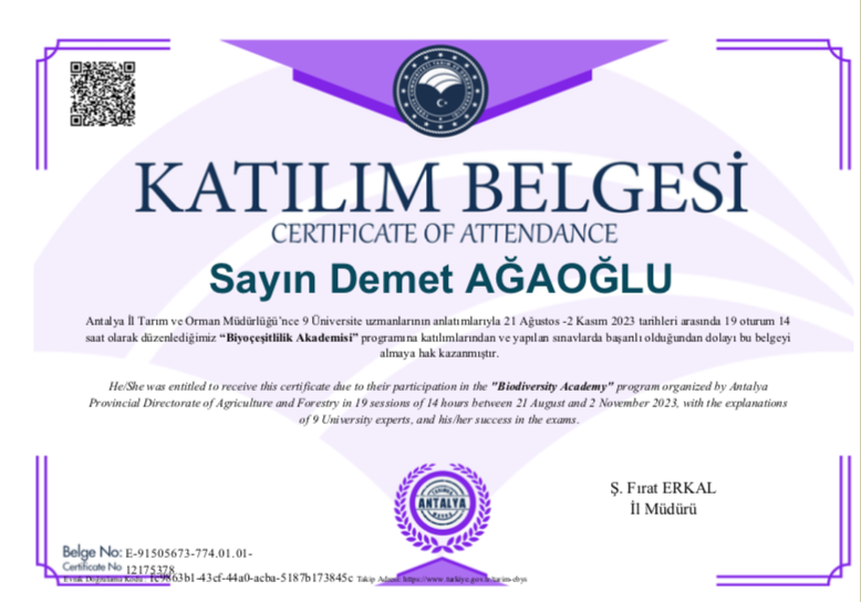 DAgaoglu tweet picture