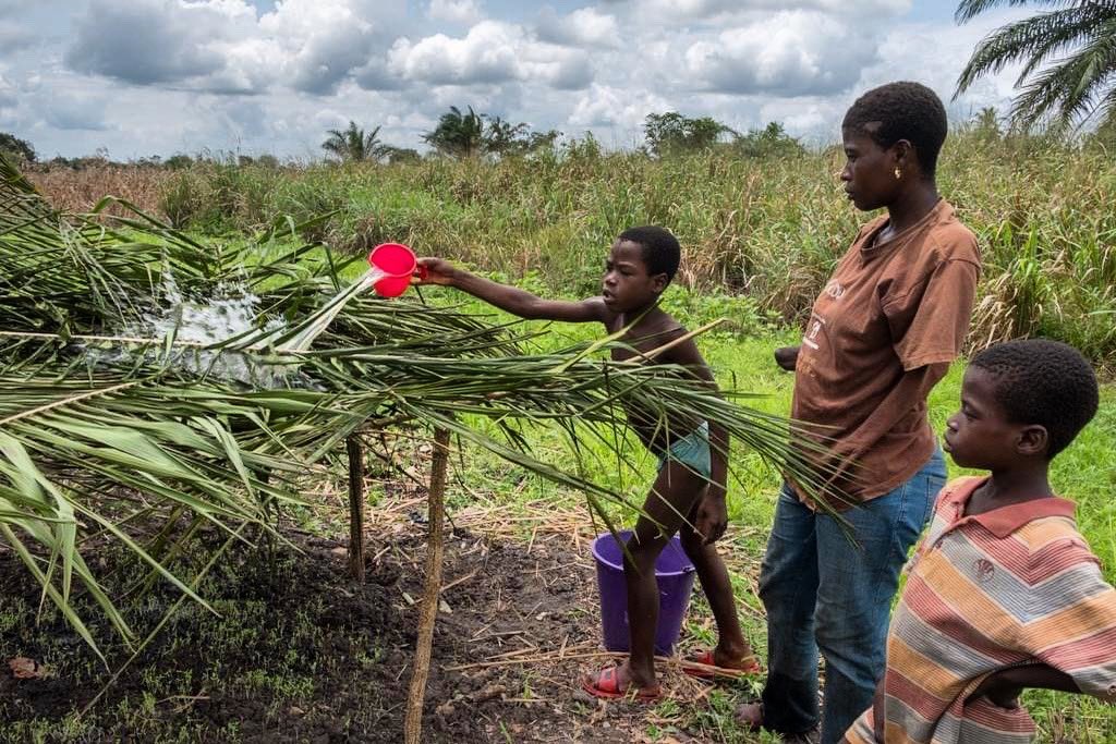 KekeliInc's tweet photo. The primary aim of farming extends beyond the mere cultivation of crops; it includes the nurturing and development of individuals toward their fullest potential. https://t.co/WSCxKkpiPg