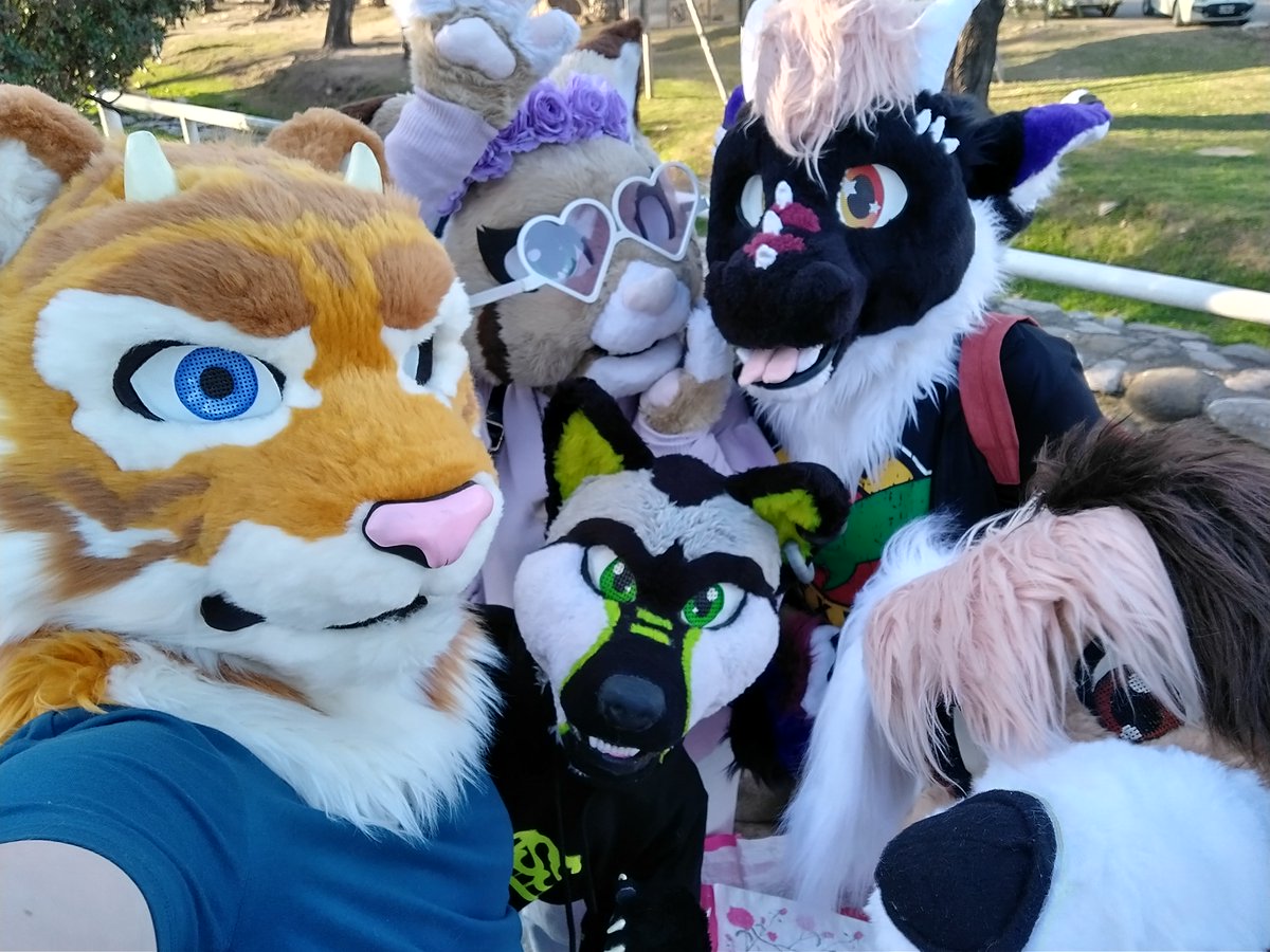 its #fursuitfriday !! The fluff gang: @panchitoyfreya @MagerMajestry @dackerth and me nwn