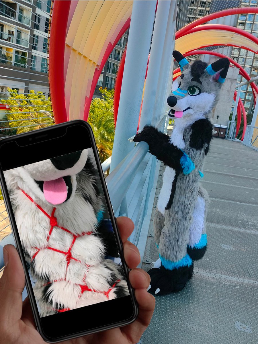 BadWolfRexy's tweet photo. Special #FursuitFriday https://t.co/ddvMgwaRDG