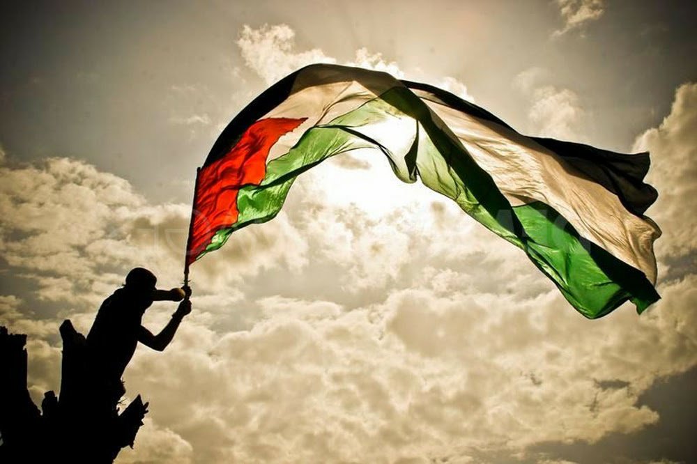 The "ceasefire" has ended. So with support, and approval from the US, the UK, the EU, and NATO, Israel has resumed it's blatant genocide against the indigenous people of an occupied land who've been oppressed for more than 75 years. 

Rise up. Take action. Fight.

FREE PALESTINE!