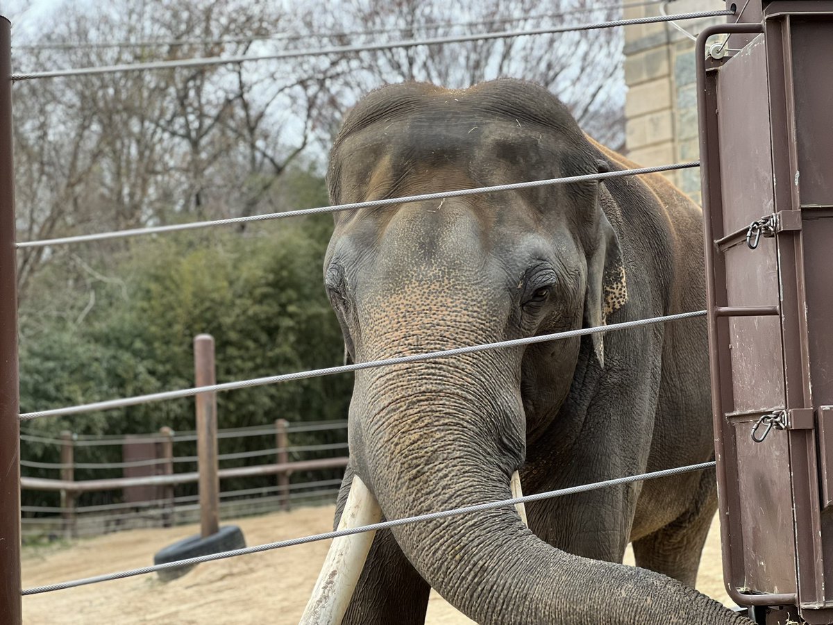 Justin Patterson tweet media